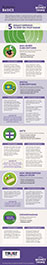 Info Graphic